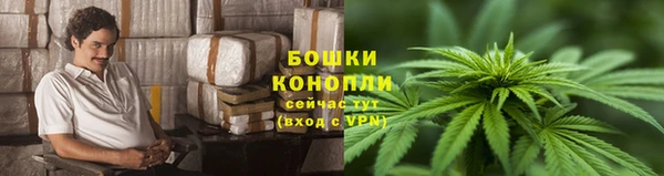 ALPHA PVP Приозерск
