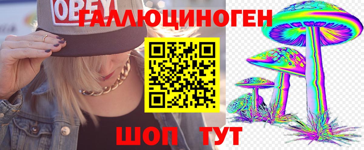 наркота  Северобайкальск  Псилоцибиновые грибы GOLDEN TEACHER 